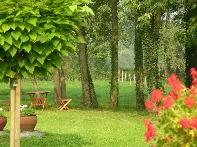 The garden: clipped trees, red geraniums and a chair on the grass at the edge of the copse